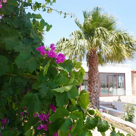 Hotel Punta Mare Afiartis